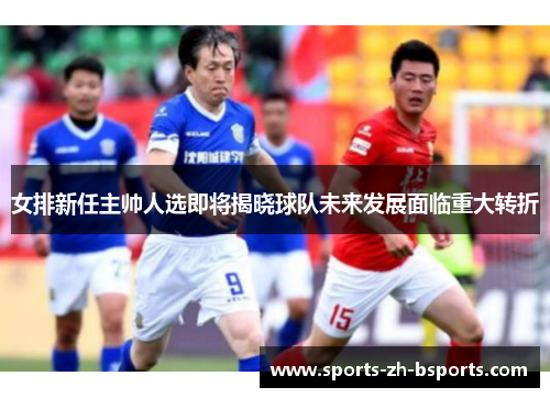 女排新任主帅人选即将揭晓球队未来发展面临重大转折