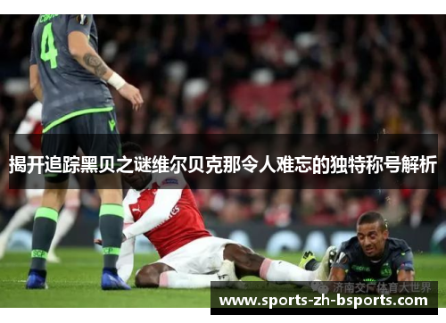 揭开追踪黑贝之谜维尔贝克那令人难忘的独特称号解析 揭开追踪黑贝之谜维尔贝克那令人难忘的独特称号解析