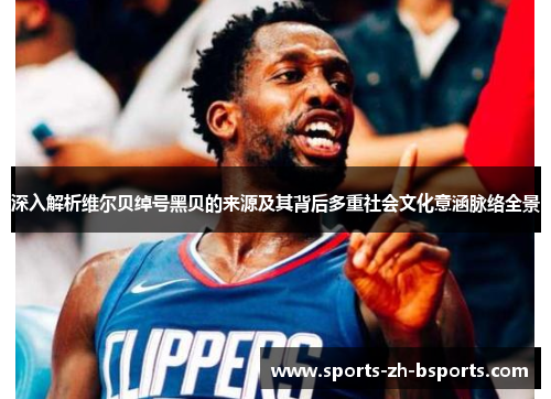 深入解析维尔贝绰号黑贝的来源及其背后多重社会文化意涵脉络全景