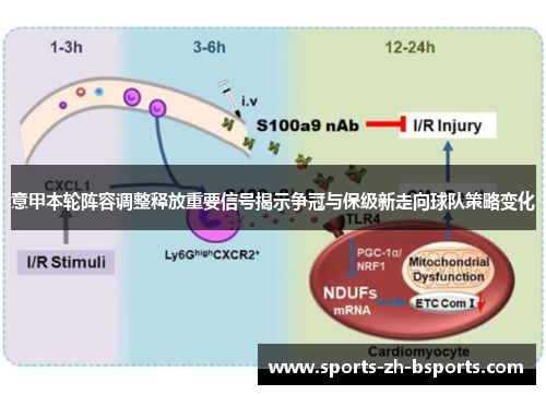 意甲本轮阵容调整释放重要信号揭示争冠与保级新走向球队策略变化 意甲本轮阵容调整释放重要信号揭示争冠与保级新走向球队策略变化