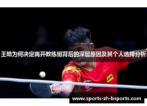 王皓为何决定离开教练组背后的深层原因及其个人选择分析