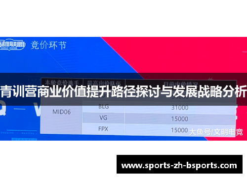 青训营商业价值提升路径探讨与发展战略分析