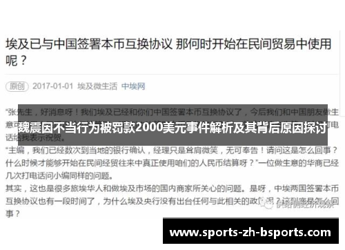 魏震因不当行为被罚款2000美元事件解析及其背后原因探讨