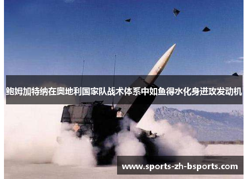 鲍姆加特纳在奥地利国家队战术体系中如鱼得水化身进攻发动机